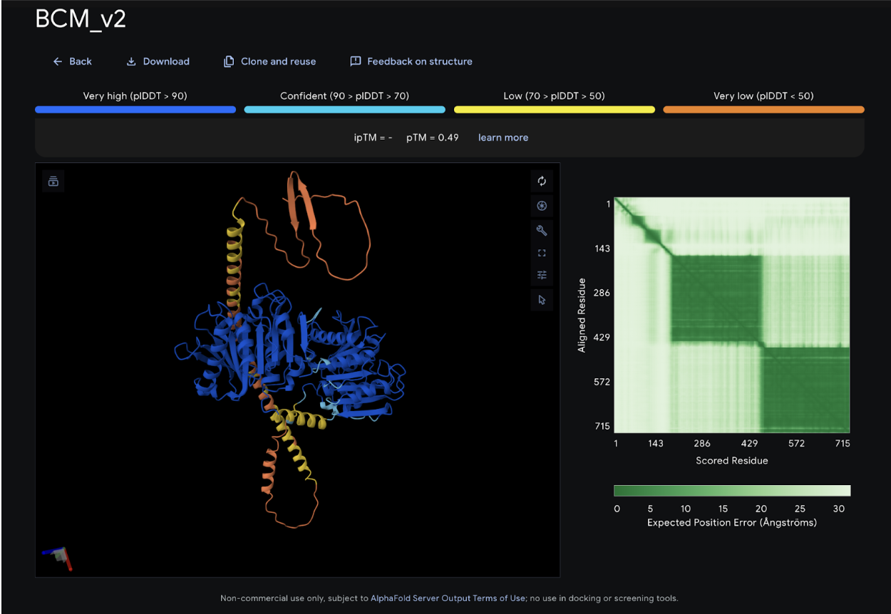 BCM_v2 AlphaFold structure