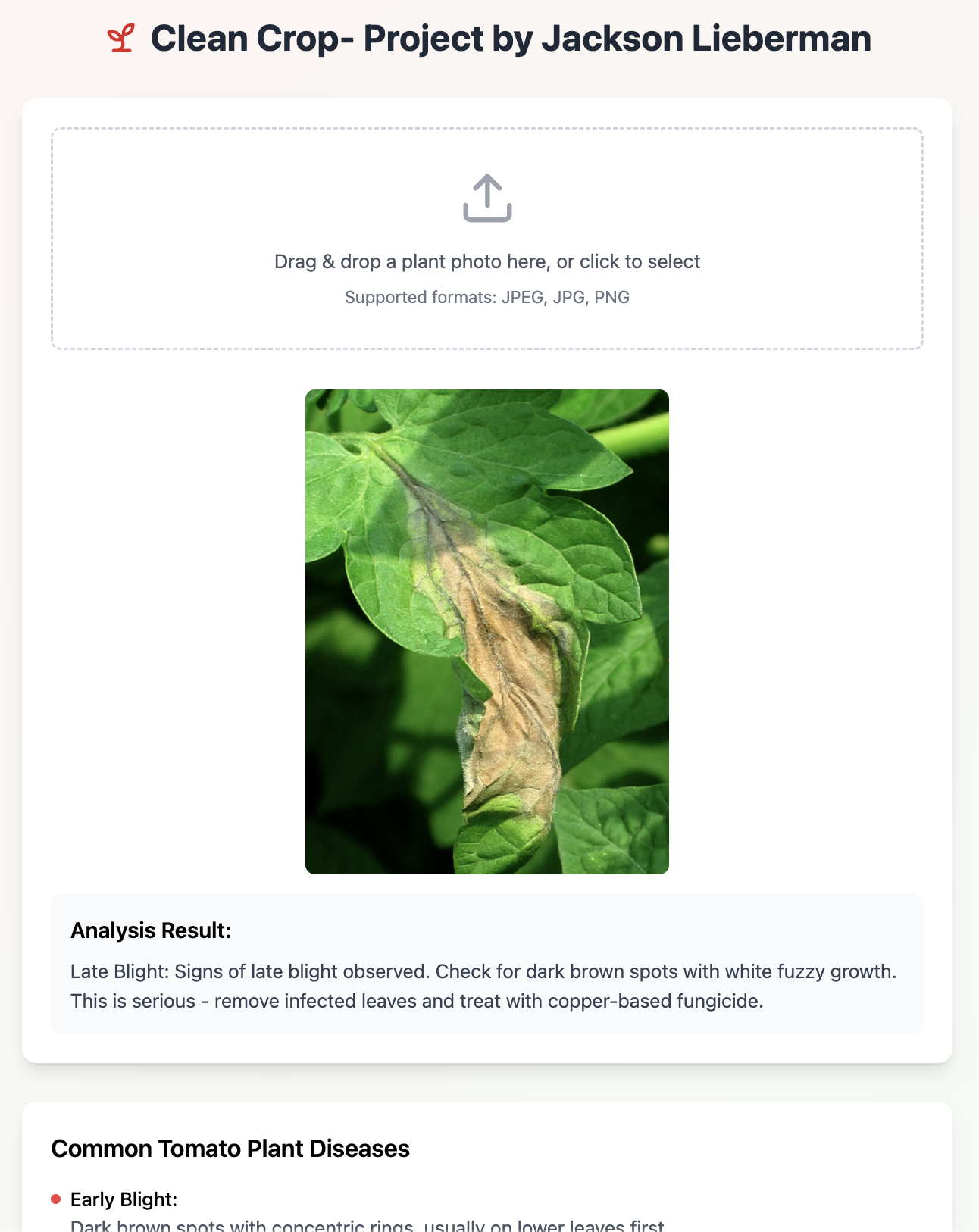 CleanCrop.AI plant disease detection UI