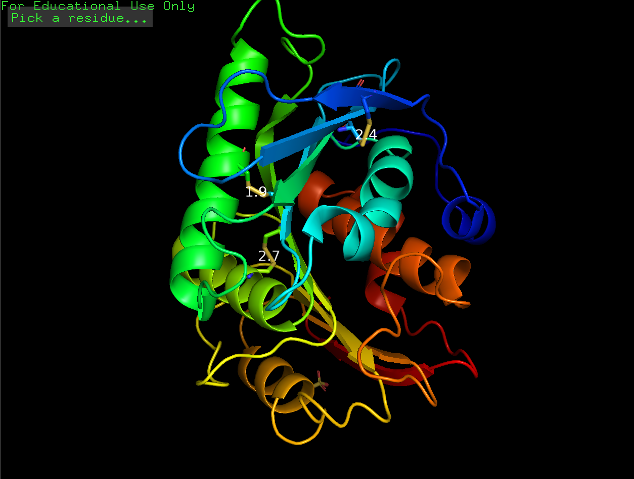 Triple disulfide FAST-PETase structure in PyMOL